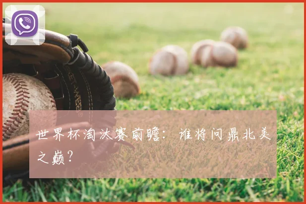 世界杯淘汰赛前瞻：谁将问鼎北美之巅？