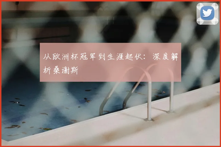 从欧洲杯冠军到生涯起伏：深度解析桑谢斯